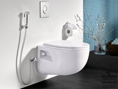 Набір для гігієнічного душу Grohe Tempesta-F Trigger Spray 30 27514001