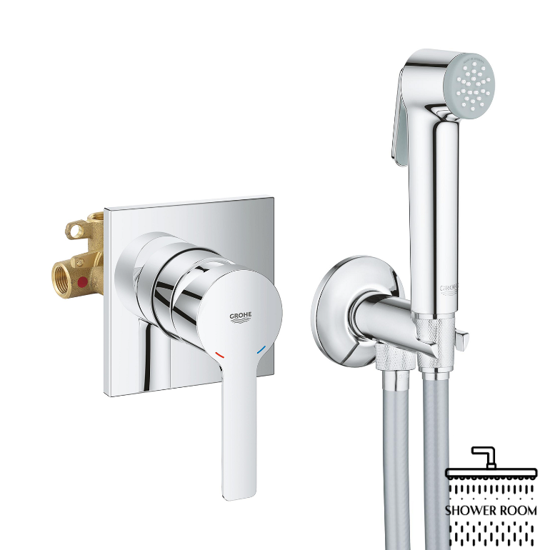 Готовий комплект Grohe для гігієнічного душу Lineare з Tempesta-F (UA111198000 )